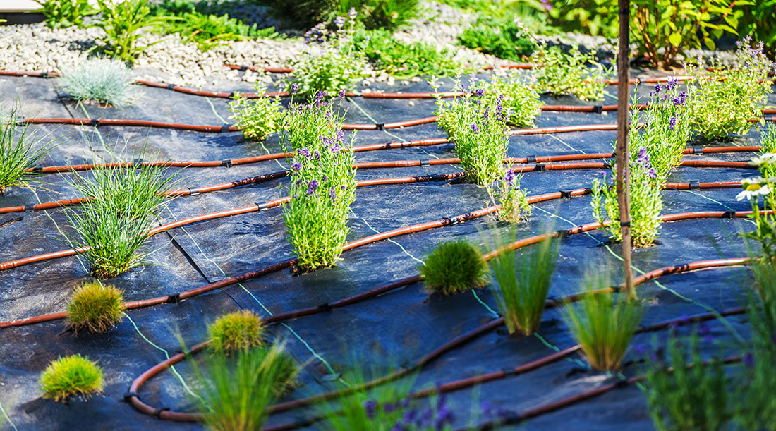 pouzitie kvapkovej zavlahy