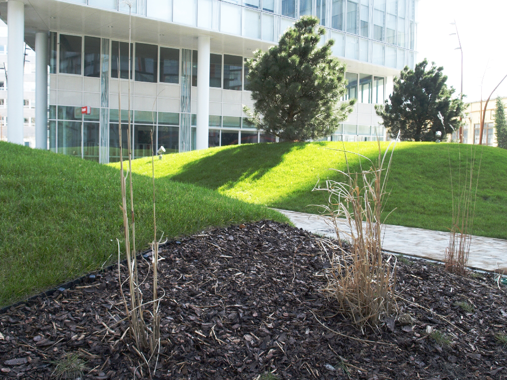 Lišta Ekobrim - oddelenie trávnika od záhonu.
