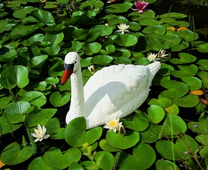 Ubbink plastová dekorácia Labuť