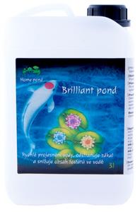 Home Pond Briliant Pond 3 l