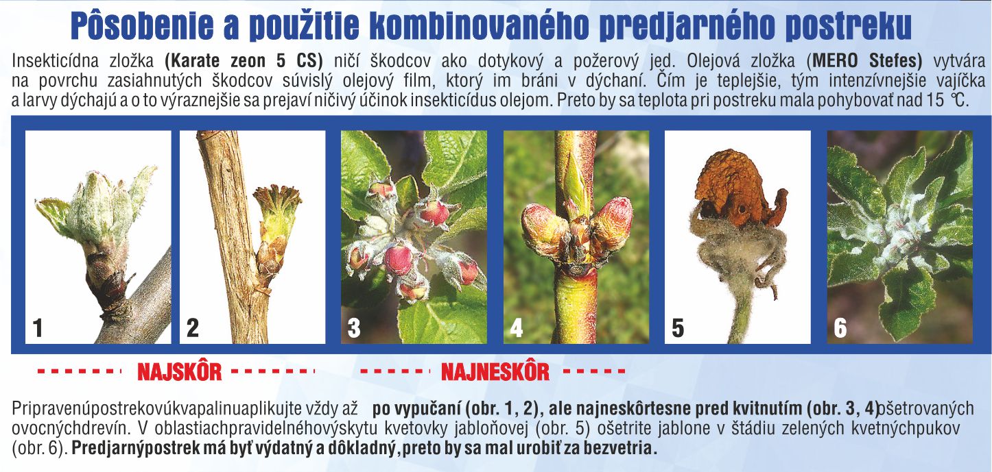 predjarny postrekpouzitie.jpg