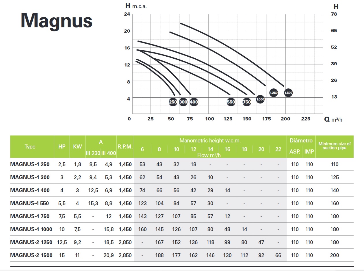 Magnus-2.jpg